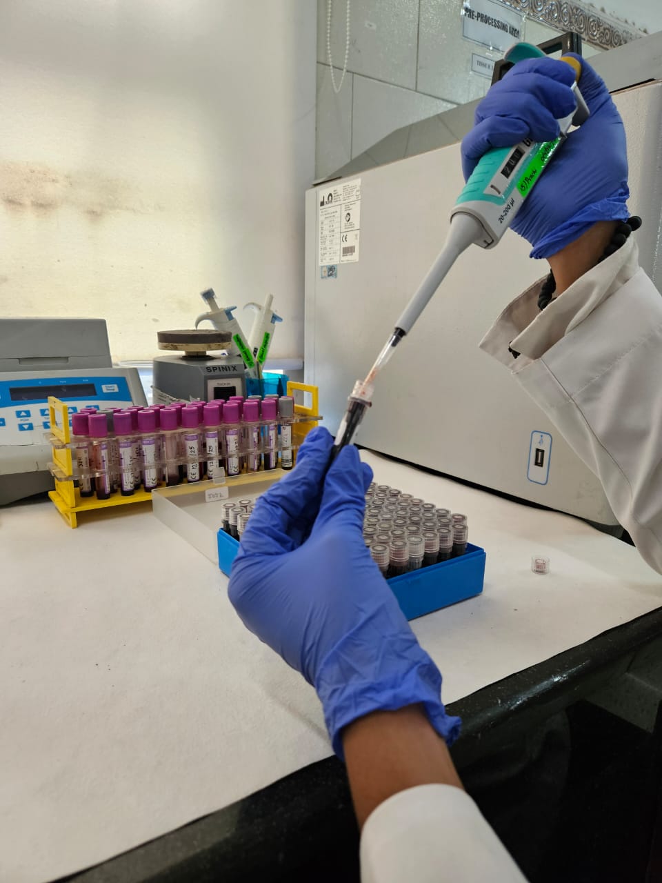 Laboratory Research Work