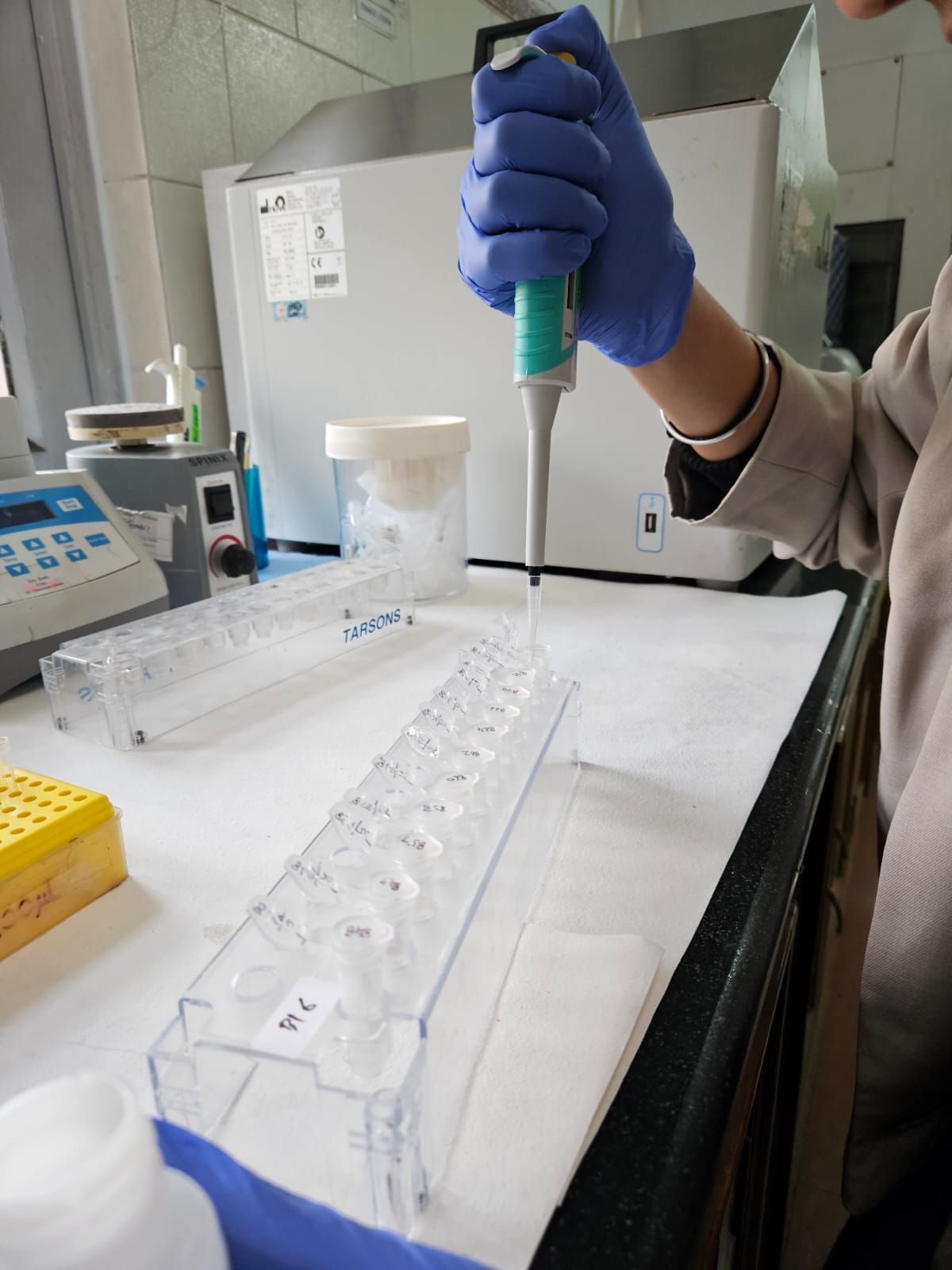 Laboratory Research Work