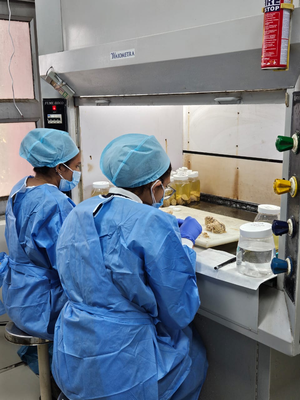 Laboratory Research Work